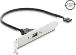 Delock USB 2.0 lizdo laikiklis su 1 x EASY USB Type-A prievadu
