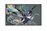 Philips 50BDL3650QE/00 informacinis skaitmeninis ekranas, 50", D-LED, 4K, ECO-design