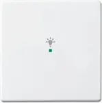 Busch-jaeger 2CKA006220A0037