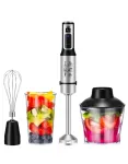 Blenderis FHB-1201