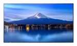 Sharp MultiSync P656 Kiosk dizainas 163,8 cm (64,5 col.) LCD 700 cd/m&sup2; 4K Ultra HD Juoda su integruotu procesoriumi