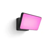 I&scaron;manusis sieninis &scaron;viestuvas Philips Hue Discover Outdoor Floodlight LED juodas 24V