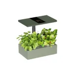 LUMI LEGEND CORPORATION HS085001 i&scaron;manioji kambarinė hidroponinė auginimo sistema, 20 auginimo vietų, 10 l, viso spektro LED, skaitmeninis valdymo skydelis