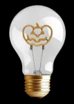 Synergy 21 LED Retrofit Deko Bulb A68 Halloween Pumpkin, įkraunama