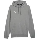 PUMA Team Goal Casuals gobtuvas Medium Grey Heather vyrams M dydis