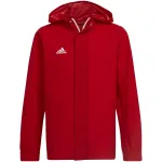 adidas Entrada 22 visų orų striukė raudona IK4013