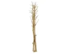 EUROPALMS Džiovintų pankolių puok&scaron;tė, auksinė, 160cm 83502363