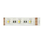 Synergy 21 LED Flex Strip 5050 - 60 RGB DC24V + RGB-W vieno lusto KW IP68