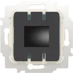 Busch-jaeger 2CKA006800A3116