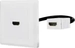 Renkforce RF-4538136 HDMI adapteris [1x HDMI lizdas - 1x HDMI lizdas] baltas, auksuotas