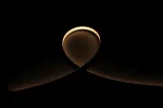 SYNERGY21 LED Flex Strip NEON Black for Acoustic Panels Super Warm White IP20 5m