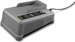 K&auml;rcher Professional Battery Power+ greitasis įkroviklis 2.445-045.0