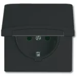 Busch-jaeger 2CKA002064A0290 juodas