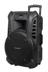 ACTIVE KEY aktyvi garso kolonėlė su 2 belaidžiais mikrofonais UHF, SD, Bluetooth, FM, USB, 60 W
