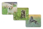 Hama Animal 4 prievadų USB 2.0 &scaron;akotuvas su USB-C jungtimi, rudas/balta &scaron;uns dizainas