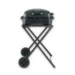 Severin PG 8598 elektrinis BBQ grotelės su stovu 2500 W chromuota grotelė 1000 cm&sup2;
