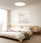 Protingi lubiniai &scaron;viestuvai Xiaomi D40 WiFi 45W Baltas