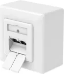 Hama CAT-6a tinklo lizdas, 2 prievadai RJ45, 10 Gbit/s, ekranuotas, pavir&scaron;inis/įleidžiamas montavimas, baltas 00200774