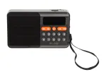 Ne&scaron;iojamas analoginis AM/FM Bluetooth radijas BLOW RA18 su FM imtuvu ir belaidžiu ry&scaron;iu