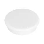 FRANKEN Magnet 13mm White Holding Force 100g 10 Vnt./Pak.