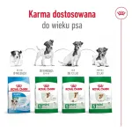 ROYAL CANIN Mini Ageing Adult +12 &ndash; sausas &scaron;unų ėdalas &ndash; 3,5 kg