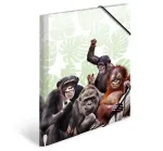 HERMA Monkey gang 19960 &ndash; aplankalas dokumentams A4