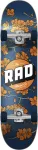 RAD Dude Crew Complete 7.5 Checkers Black riedlentė