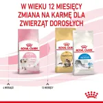 Royal Canin FHN Kitten sausas pa&scaron;aras kačiukams, 4 kg