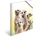 HERMA Meerkat troop 19961 aplankas dokumentams A4