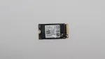 256GB M.2 2242 PCIe 4.0 NVMe SSD (Lenovo)