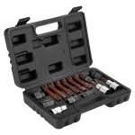 NEO TOOLS Generatoriaus laisvos eigos skriemulio i&scaron;ėmimo rinkinys, 13 dalių, chromo vanadžio plienas, 1/2 colio pavara, spline/Torx/Hex antgaliai