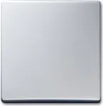 BUSCH-JAEGER jungiklio svirtis Wechsel 2106-33 AW44 alusilber (2106-33)