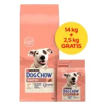 PURINA Dog Chow Sensitive Salmon - sausas &scaron;unų maistas - 14 + 2,5 kg