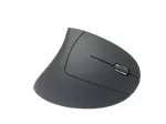 Pelytė MediaRange MROS232 RF belaidė vertikali ergonominė