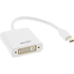 InLine Mini DisplayPort (vyri&scaron;kas) / DVI-D 24+1 (moteri&scaron;ka) adapteris baltas, 0,15 m