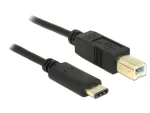 USB laidas DeLOCK 2m USB 2.0-C / USB 2.0-B