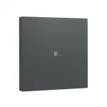 Rokerinis dangtelis Gira System 55 valdymo įdėklui, antracitas (modelis 329028)