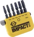 C.K. Bit rinkinys 6 dalių TORX Torsion Control Technologie (T4513)