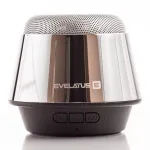 Evelatus ESP01 Bluetooth Speaker Silver