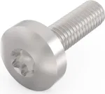 Schroff Pentair Techn. Varžtas 24560-130 VE100 (24560130)