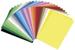Folia Special Edition spalvotas kartonas, 25 spalvų rinkinys, 220 g/m&sup2;, 25 lapai, A4