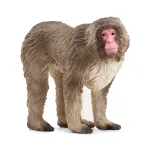 Schleich WILD LIFE Japoninė Makaka Figūrėlė Smėlio Ruda Rausva 14871