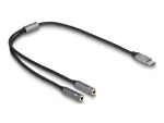 USB Type-C DAC adapteris DeLOCK 66616 24 bit 96 kHz 2 x 3,5 mm