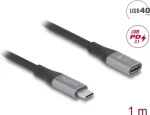 Delock USB-C prailginimo laidas 24 pin USB-C (M) į 24 pin USB-C (M) 1,0 m juodas/pilkas (81201)
