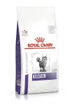 Royal Canin Dental sausas kačių pa&scaron;aras, 1,5 kg