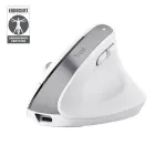 Trust Bayo+ pelė, biuro, de&scaron;inei rankai, RF belaidė + Bluetooth, optinė, 2400 DPI