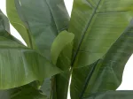 EUROPALMS dirbtinis bananų medis, 120 cm, tikrovi&scaron;ki žali lapai, juoda vaza 82509537