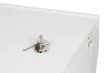 ALLNET atsarginių raktų rinkinys serverių spintoms (2 raktai, Art. 219493 ir 219572) ALL-DIN-XXX-ReplaceKeys