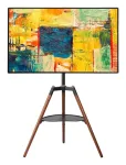 Techly ICA-TR58 TV stovas 165,1 cm (65 inch) juoda, medis