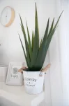 EUROPALMS dirbtinis alavijo augalas, 60 cm, juodas vazonas 82600167